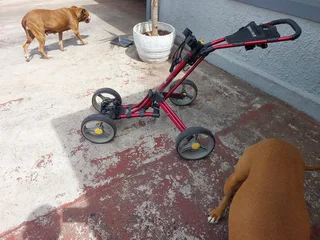 4wheel Golf push cart