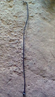 Toyota Corolla professional or quest or rav4 or arvis parts available only wats in pic