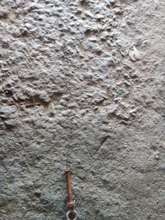 Vw polo vivo or polo bah blm oil dipstick n holder available only wats in pictures oem 550rand conta