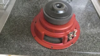 Rockford punch 10 inch P1