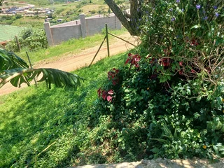 House for sale in a very relaxing area with a reasonable price