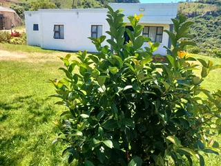 House for sale in a very relaxing area with a reasonable price