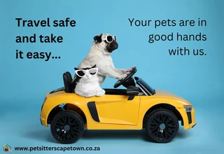 Certified Pet Sitters on the West Coast and surrounds. Established in 2010