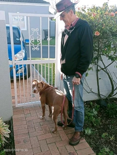 Certified Pet Sitters for Paarl. Visit our website for more information.