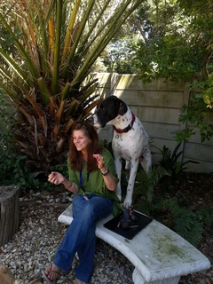 Certified Pet Sitters for Paarl. Visit our website for more information.