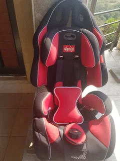 Stroller and Car Seat Combo