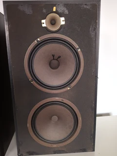 Sony Bookshelf Speakers
