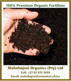 Organic Fertilizer