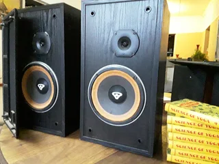 Cerwin Vega VS8 Speakers
