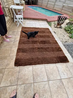 REDUCED ! Bargain ! Quality, Thick and fluffy carpet in nice condition !!