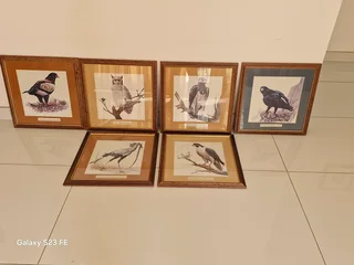 Stunning Bargain ! Collection of 6 x large framed Birds of Prey Lithographs !!
