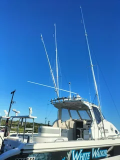 Lee Cat 800 Expressa