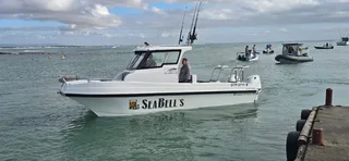 Carry Cat 700 Walk Around