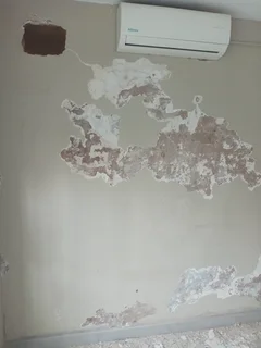 HANDYMAN - Ad posted by Robson Mhandu