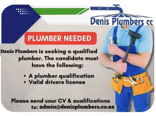 Job - Ad posted by Denis Plumbers