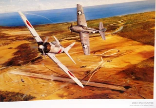 Air Combat Paintings Volume 2 - C Walker and R Taylor - Hardcover