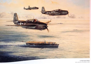 Air Combat Paintings Volume 2 - C Walker and R Taylor - Hardcover