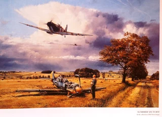 Air Combat Paintings Volume 2 - C Walker and R Taylor - Hardcover