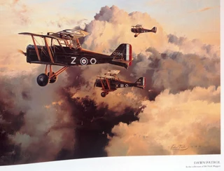 Air Combat Paintings Volume 2 - C Walker and R Taylor - Hardcover