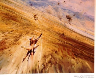 Air Combat Paintings Volume 1 - C Walker and R Taylor - Hardcover