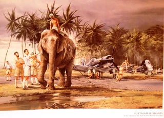 Air Combat Paintings Volume 1 - C Walker and R Taylor - Hardcover