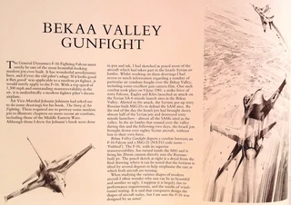 Air Combat Paintings Volume 1 - C Walker and R Taylor - Hardcover