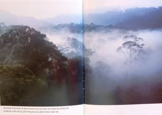 Charlotte Uhlenbroek - JUNGLE - A Journey to the Heart of the Rain Forest - book signed by Author