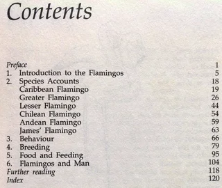 Flamingos - Malcolm and Carol Ogilvie - Hardcover