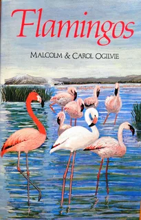 Flamingos - Malcolm and Carol Ogilvie - Hardcover