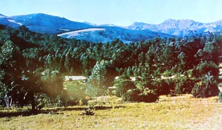 Bolt from the Blue - John Tagel - Hardcover