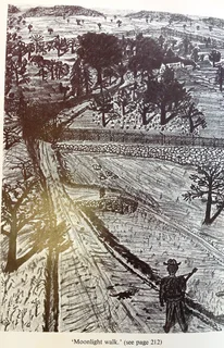 Bolt from the Blue - John Tagel - Hardcover