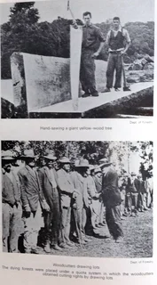 The Knysna Story - Arthur Nimmo - Hardcover