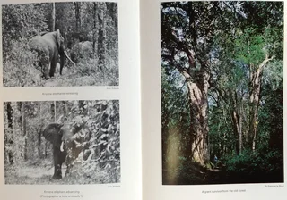 The Knysna Story - Arthur Nimmo - Hardcover