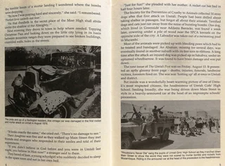 When the going was rough - A RHODESIAN STORY - James MacBruce - Hardcover