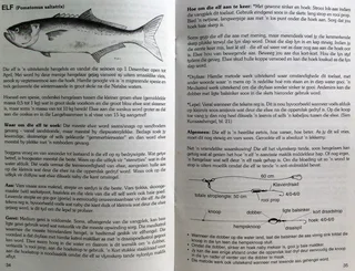 Hengelplesier in die Suid-Kaap - Hengelaarsgids - Nickie Louwrens