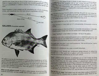 Hengelplesier in die Suid-Kaap - Hengelaarsgids - Nickie Louwrens