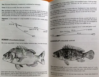 Hengelplesier in die Suid-Kaap - Hengelaarsgids - Nickie Louwrens