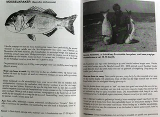 Hengelplesier in die Suid-Kaap - Hengelaarsgids - Nickie Louwrens