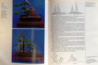 Bemeester Bonsai - Pieter Loubser - Hardeband
