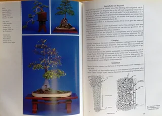 Bemeester Bonsai - Pieter Loubser - Hardeband