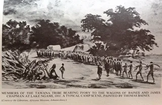The Recollections of an Elephant Hunter 1864-1875 - Books of Rhodesia-William Finaughty - Hardcover