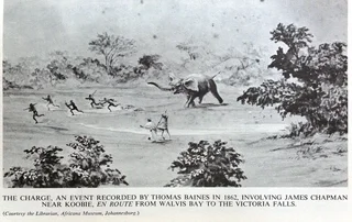 The Recollections of an Elephant Hunter 1864-1875 - Books of Rhodesia-William Finaughty - Hardcover