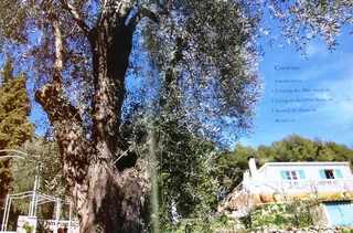 The Illustrated Olive Farm - Carol Drinkwater - Hardcover - book signed by Authoress