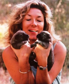 The Illustrated Olive Farm - Carol Drinkwater - Hardcover - book signed by Authoress