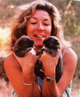 The Illustrated Olive Farm - Carol Drinkwater - Hardcover - book signed by Authoress