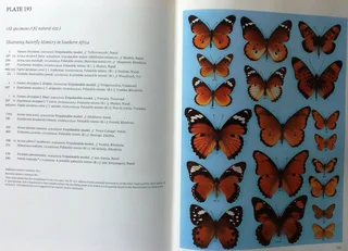 Pennington&#39;s Butterflies of Southern Africa - C G C Dickson with Dr D M Kroon - Hardcover