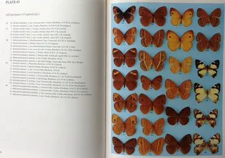 Pennington&#39;s Butterflies of Southern Africa - C G C Dickson with Dr D M Kroon - Hardcover