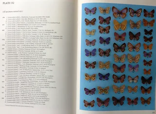 Pennington&#39;s Butterflies of Southern Africa - C G C Dickson with Dr D M Kroon - Hardcover