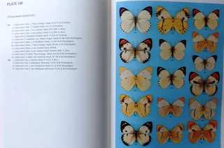 Pennington&#39;s Butterflies of Southern Africa - C G C Dickson with Dr D M Kroon - Hardcover