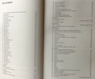 Pennington&#39;s Butterflies of Southern Africa - C G C Dickson with Dr D M Kroon - Hardcover